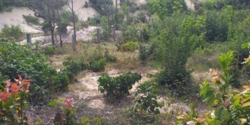 Bộ tứ “quyền lực” của huyện Hàm Tân “hè nhau” nâng giá đất cao gấp 1.398 lần!