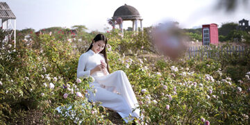 Người đẹp Áo dài Thanh Kem xinh đẹp tựa nàng thơ bên cánh đồng hoa bách nhật