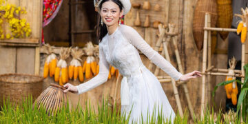 Hoa Khôi Công Sở Ninh Diên Linh duyên dáng trong tà áo dài Việt Nam chào năm mới