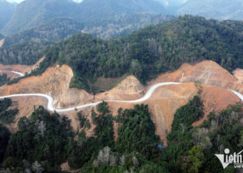 Cao Bằng: Nhiều cánh rừng rộng hàng chục hecta bị ‘xóa sổ’ khi làm đường