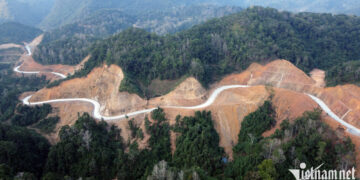 Cao Bằng: Nhiều cánh rừng rộng hàng chục hecta bị ‘xóa sổ’ khi làm đường