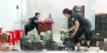 Phanh phui rau VietGAP ‘dỏm’ để bữa ăn an toàn hơn