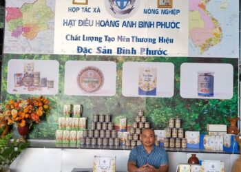 Bình Phước: HTX hạt điều Hoàng Anh “vượt biên” vươn ra thị trường lớn