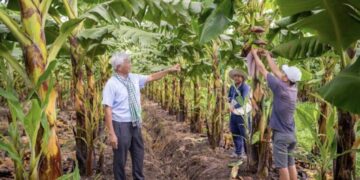 Út Huy với hành trình hơn 30 năm phủ xanh “Rừng hoang – Ruộng phèn”